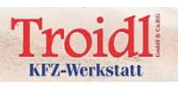 Logo der Firma Troidl GmbH & Co. KG Aushub - Erdarbeiten - Kehrmaschinen aus Pegnitz auf dem Branchenportal Auto-Werkstatt.de