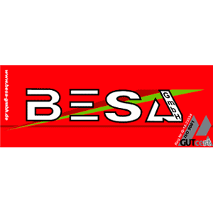 Logo der Firma BESA GmbH aus Muldestausee