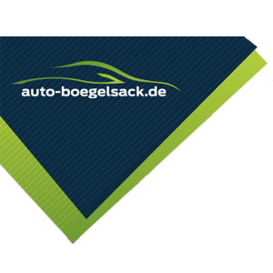 Logo der Firma Fahrzeuge Bögelsack Service & Verkauf GmbH aus Halberstadt