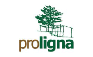 Logo der Firma PROLIGNA Holzbau aus Denklingen