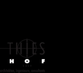 Logo der Firma THIES CONSULT GmbH aus Hof