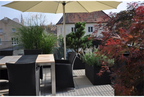 Beispielarbeit von Blumen Speth - veröffentlicht auf Gartenbau.org