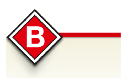 Logo der Firma Baumann & Sohn GmbH aus Freising