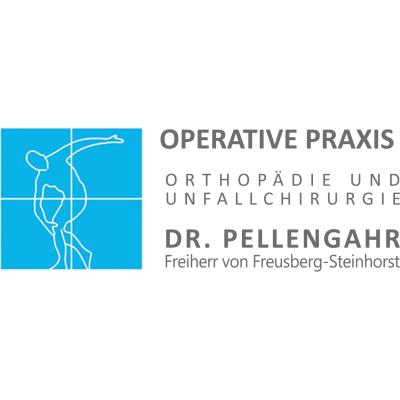 Logo der Firma Orthopädie Dr. Pellengahr aus Fürth