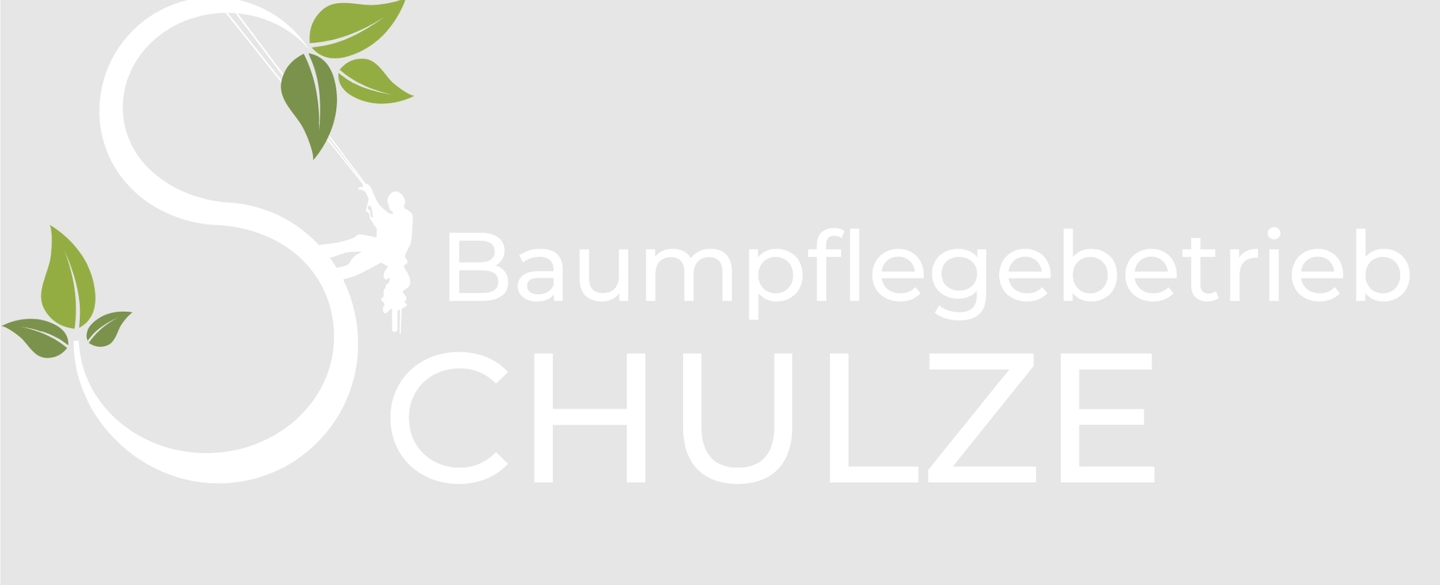 Logo der Firma Baumpflegebetrieb Schulze aus Dresden
