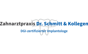 Logo der Firma Schmitt Christian Dr. aus Roth