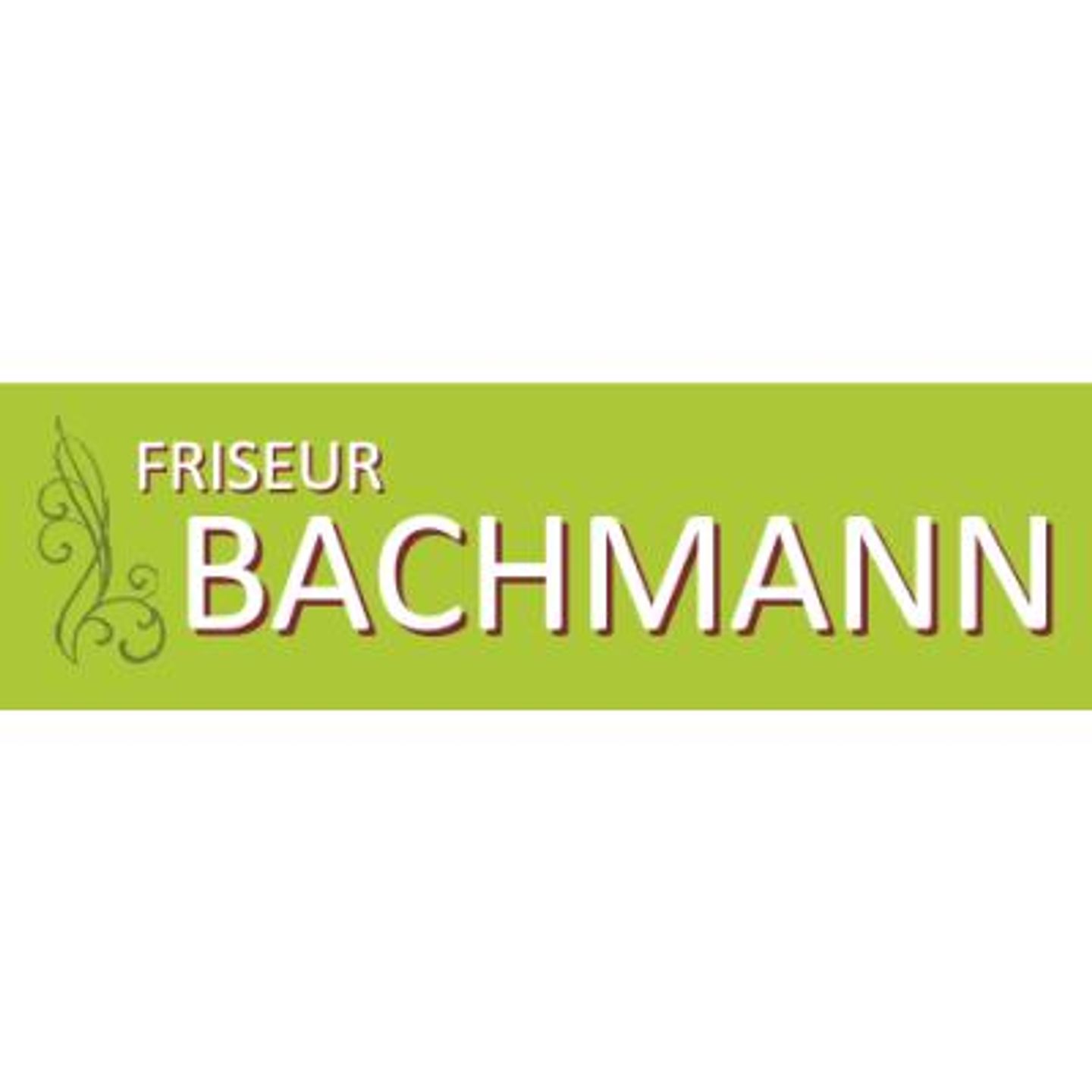 Logo der Firma Daniela Bachmann Friseursalon Bachmann aus Oelsnitz