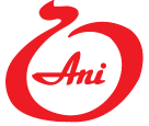 Logo der Firma Salon Ani aus Fürth