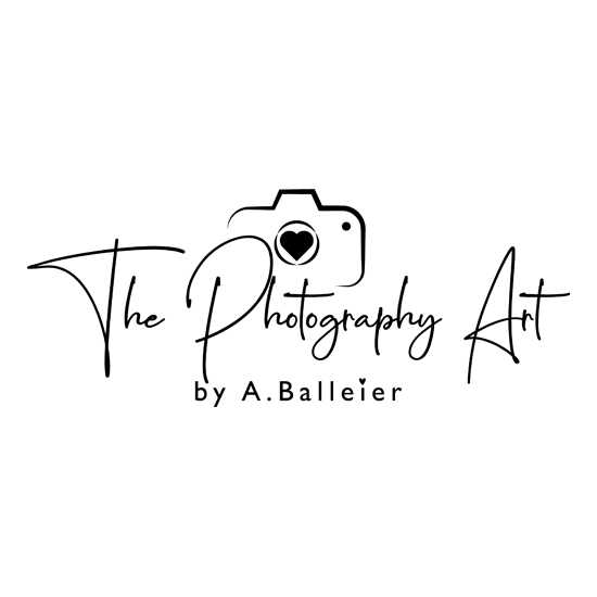 Logo der Firma The Photography Art by A.Balleier aus Hannover