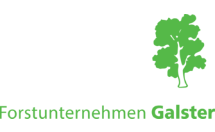 Logo der Firma Forstunternehmen Galster Frank aus Happurg