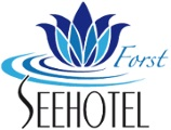 Logo der Firma Seehotel Forst bei Bruchsal aus Forst