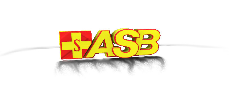 Logo der Firma ASB Pflege im Erzgebirge gGmbH aus Aue