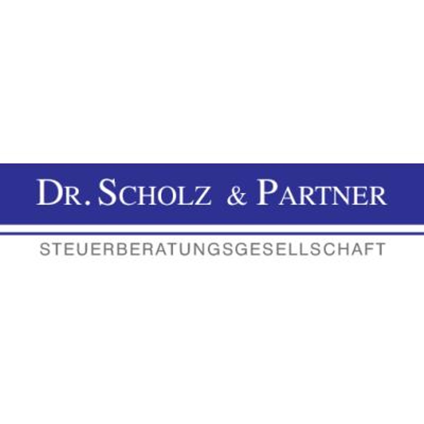 Logo der Firma Dr. Scholz & Partner aus Radebeul