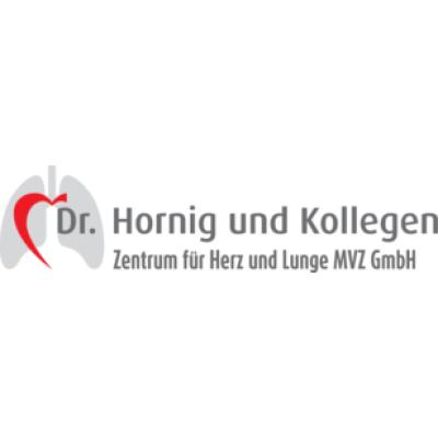 Logo der Firma MVZ GmbH Herz-Lungenzentrum Bayreuth aus Bayreuth