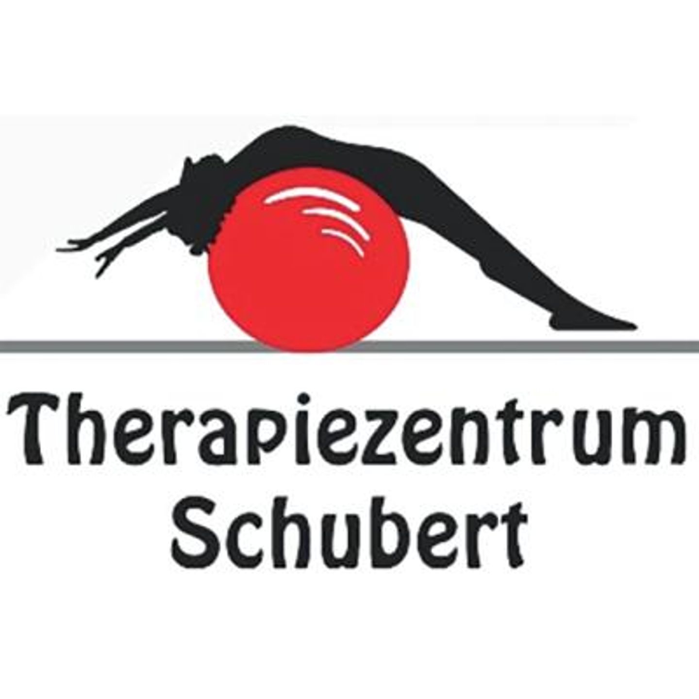 Logo der Firma Therapiezentrum Schubert Inh.Silke Schubert aus Kassel