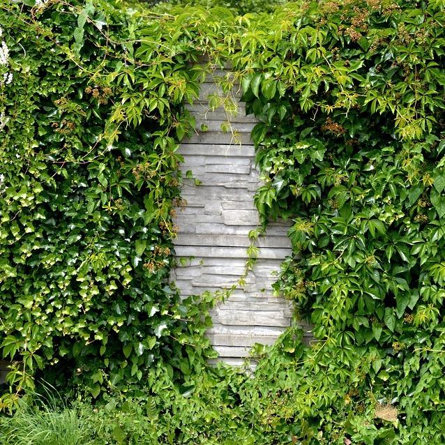 Logo der Firma Gartenpflege Birke aus Marktrodach auf dem Branchenportal Hausmeisterdienste.net