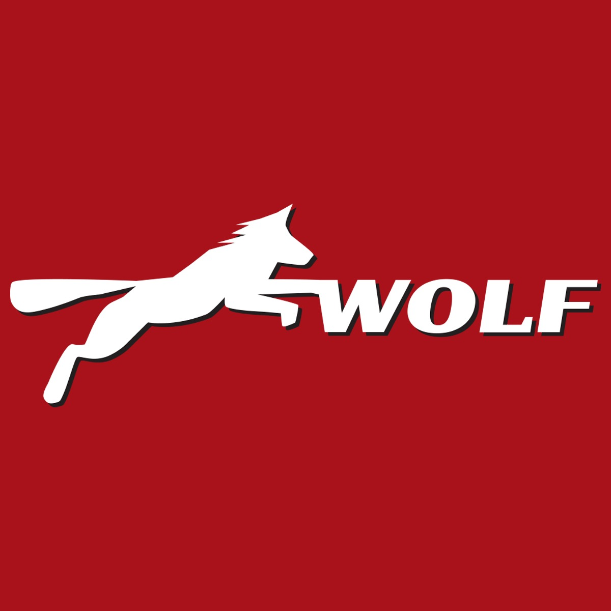 Logo der Firma Reifen- und Autoservice Wolf aus Reichenbach im Vogtland