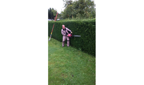 Beispielarbeit von FÜD Elektronik GmbH - veröffentlicht auf Gartenbau.org