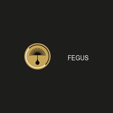 Logo der Firma Fegus GmbH & Co. KG aus Dresden