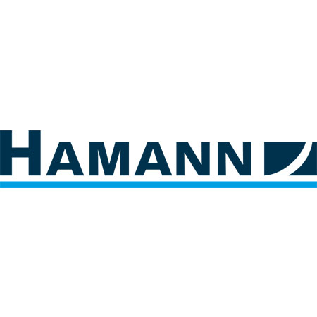 Logo der Firma HAMANN & Co. GmbH Steuerberatungsgesellschaft Standort Güglingen aus Güglingen