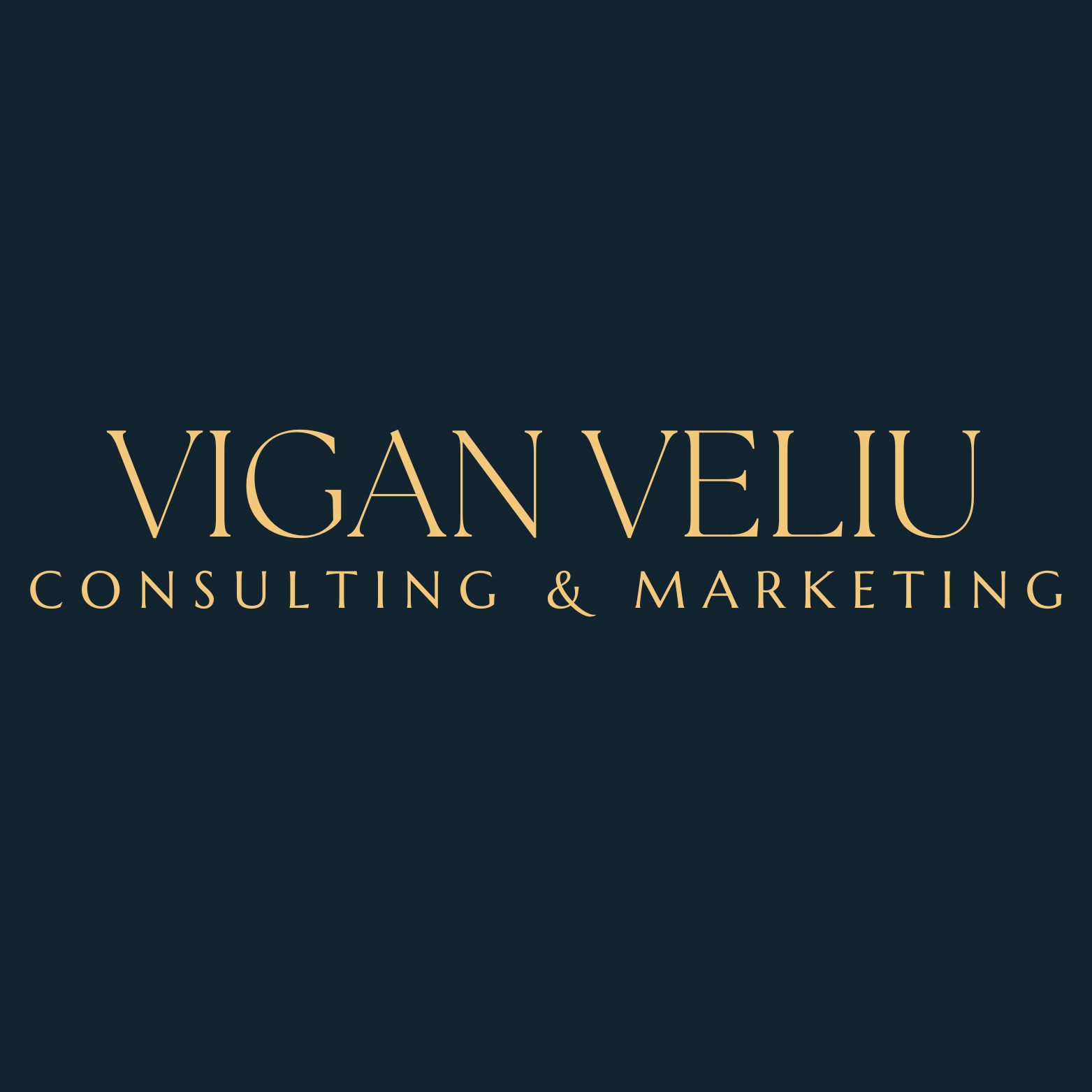 Logo der Firma Vigan Veliu Consulting & Marketing aus Berlin