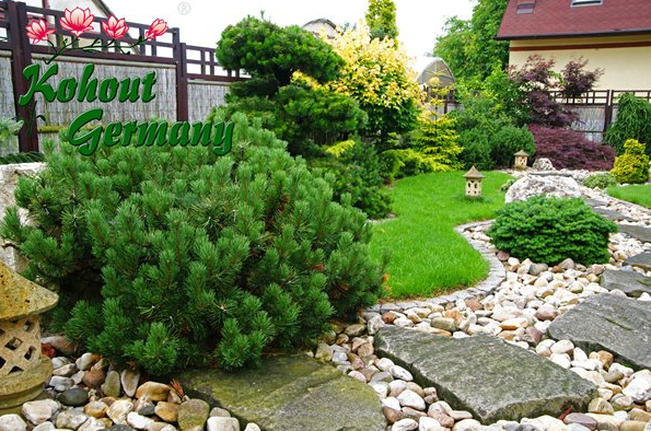 Beispielarbeit von Kohout´s Garten- und Landschaftsbau GmbH - veröffentlicht auf Gartenbau.org