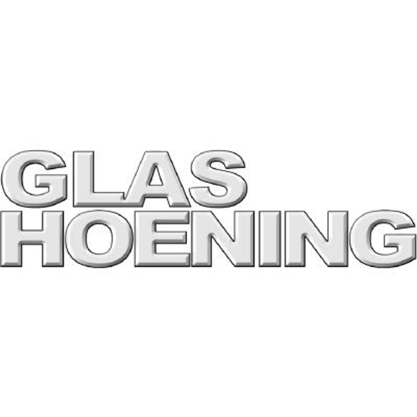 Logo der Firma Glas Hoening aus Wuppertal
