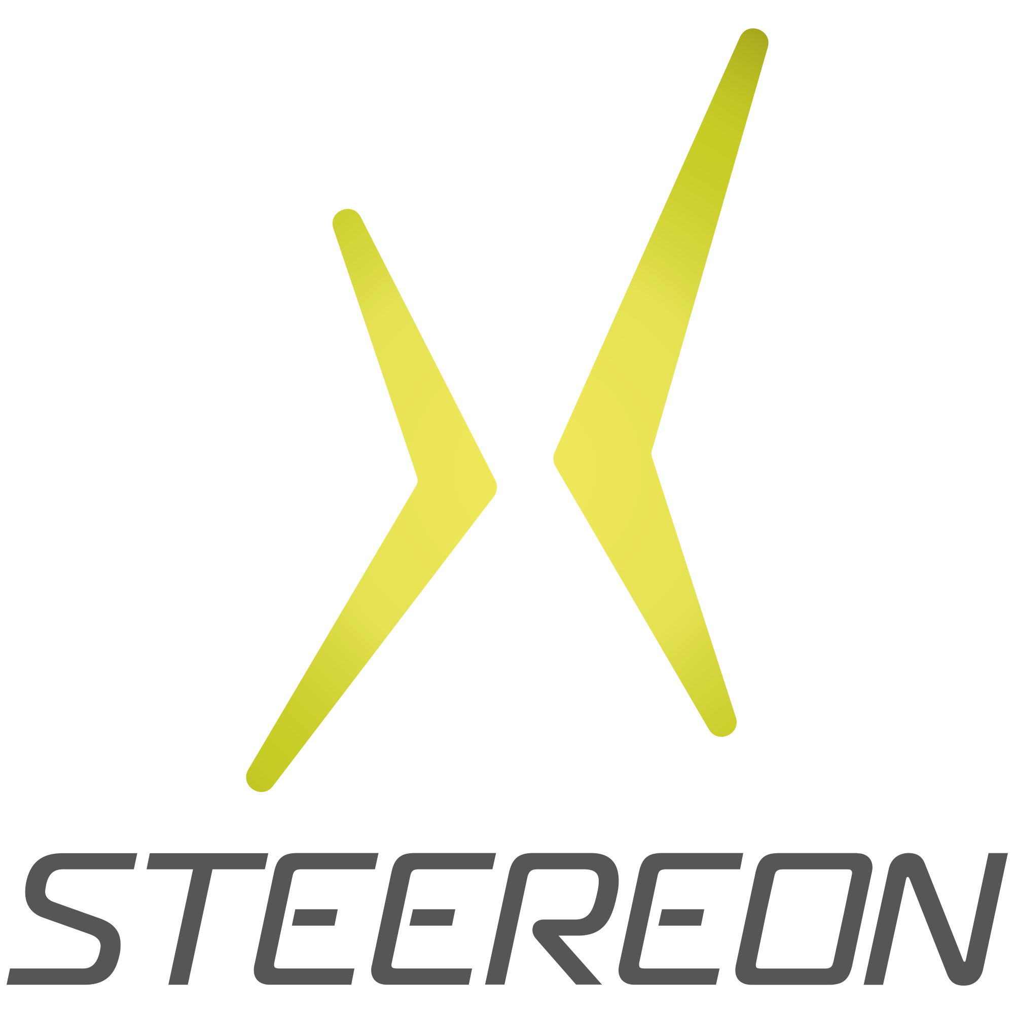 Logo der Firma STEEREON (PLEV Technologies GmbH) aus Köln