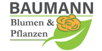 Logo der Firma Baumann aus Sasbach