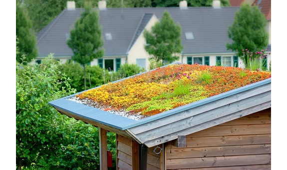 Beispielarbeit von Grün & Grau Prager Garten- und Landschaftsbau GmbH - veröffentlicht auf Gartenbau.org