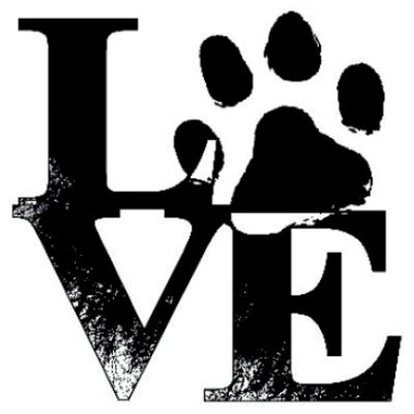 Logo der Firma Dr.med.vet. Martin Borgers Tierarzt aus Ratingen