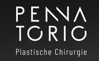 Logo der Firma Praxis für Plastische Chirurgie Basel - Prof. Dr. med. Vincenzo Penna, Prof. Dr. med. Nestor Torio aus Basel