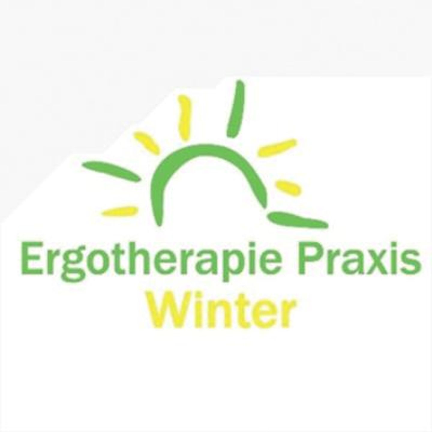 Logo der Firma Ergotherapie Praxis Winter Inh. Stefanie Winter aus Hessisch Lichtenau