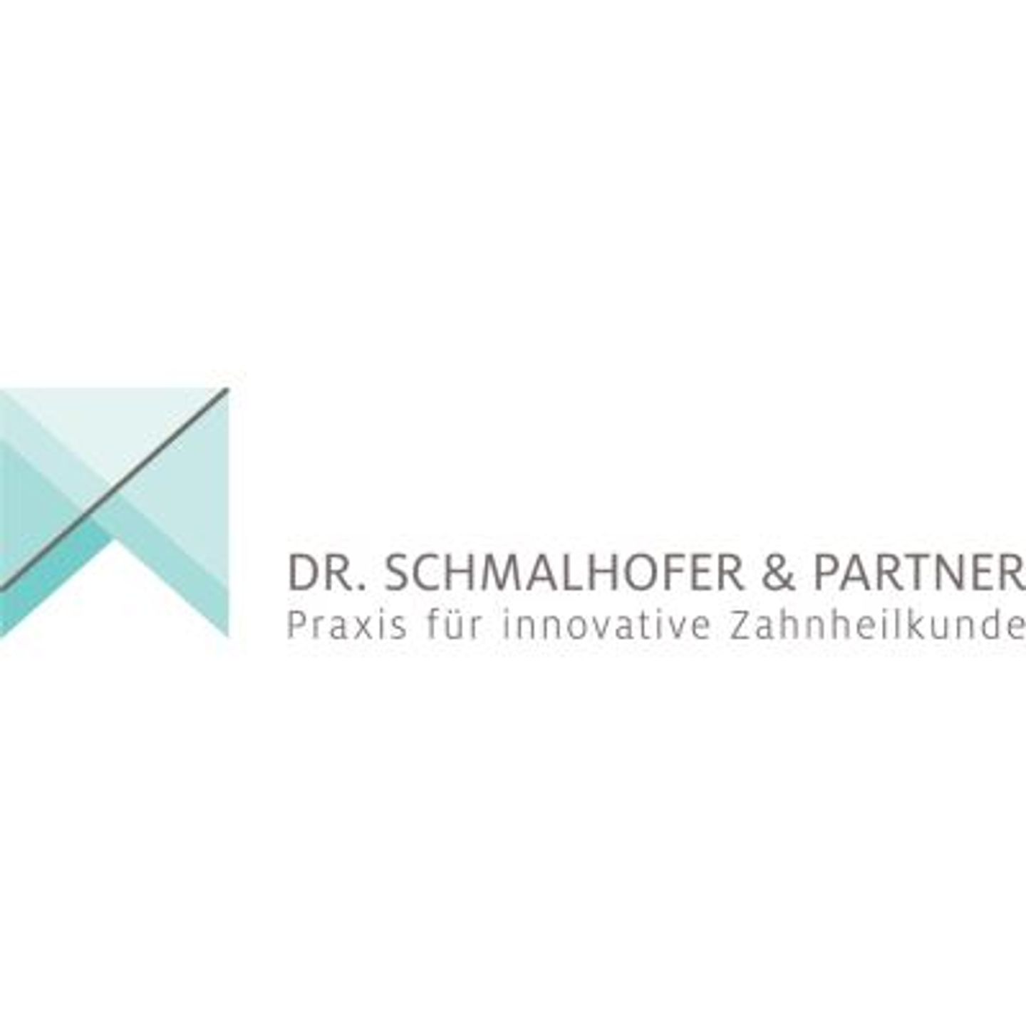 Logo der Firma Dr. Schmalhofer & Partner aus Regensburg
