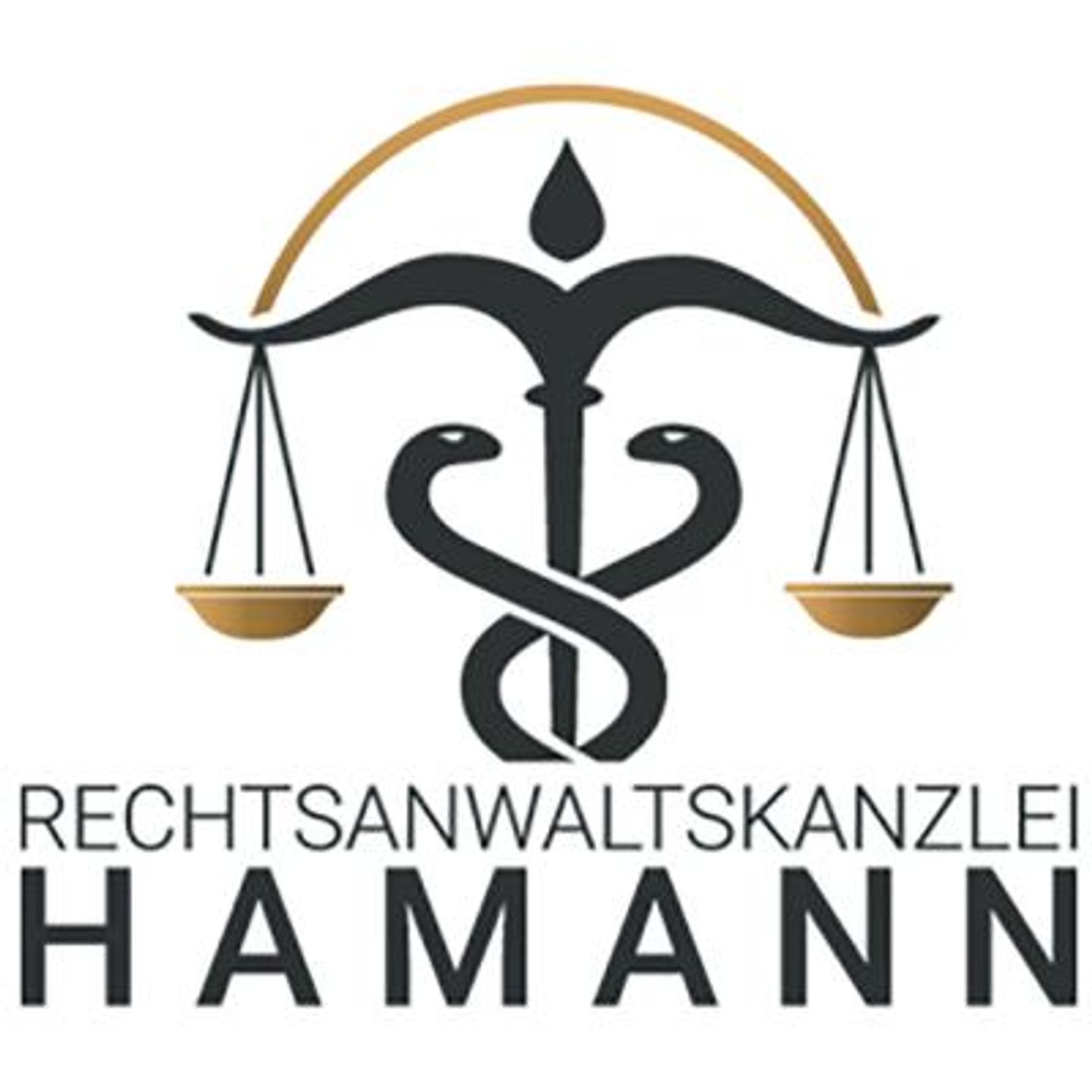 Logo der Firma Rechtsanwaltskanzlei Hamann aus Würzburg