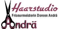 Logo der Firma Haarstudio Doreen Andrä aus Oberschöna