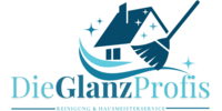 Logo der Firma DieGlanzProfis aus Wiesbaden