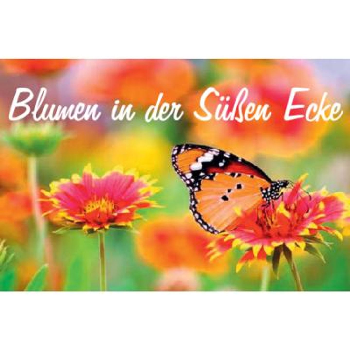 Logo der Firma Andrea Träger Blumen in der Süßen Ecke aus Treuchtlingen
