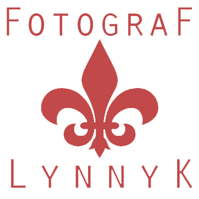 Logo der Firma Newborn und Babyfotograf Lynnyk in Frankfurt und Königstein aus Königstein