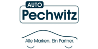 Logo der Firma Auto Pechwitz Brückner Norbert aus Altenkunstadt auf dem Branchenportal Auto-Werkstatt.de