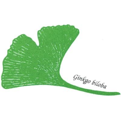 Logo der Firma BLUMEN EBBEN Meisterfloristik in Kleve Fleurop-Service, Hochzeits- & Trauerfloristik aus Kleve
