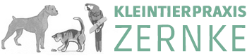 Logo der Firma Tierarztpraxis DVM Sabine Zernke aus Freiberg