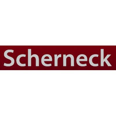 Logo der Firma Lederstudio S - Lederwaren Scherneck GmbH aus Erlangen