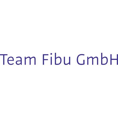 Logo der Firma Team Fibu GmbH aus Berlin