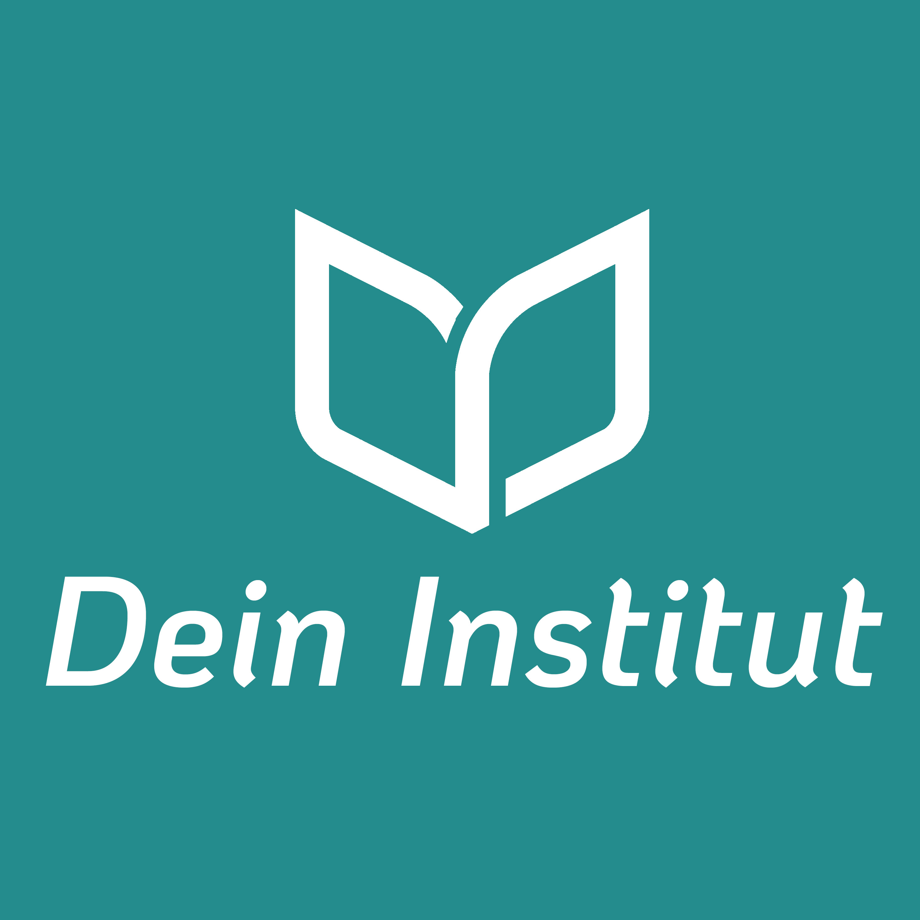 Logo der Firma Dein Institut aus Paderborn