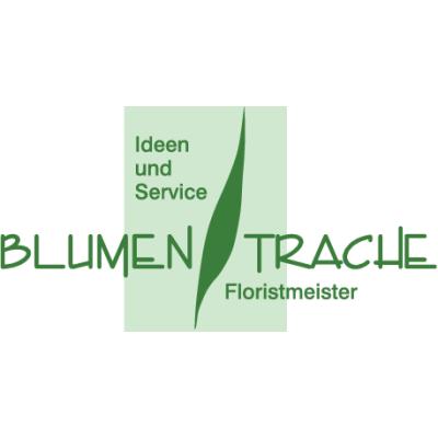 Logo der Firma Blumen-Trache Floristmeisterbetrieb e.K. aus Dresden