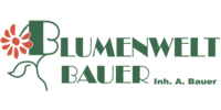 Logo der Firma Blumenwelt Bauer aus Pöhl