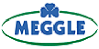 Logo der Firma MEGGLE Group GmbH aus Wasserburg