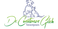 Logo der Firma Gilch Constanze Dr. aus Postbauer-Heng