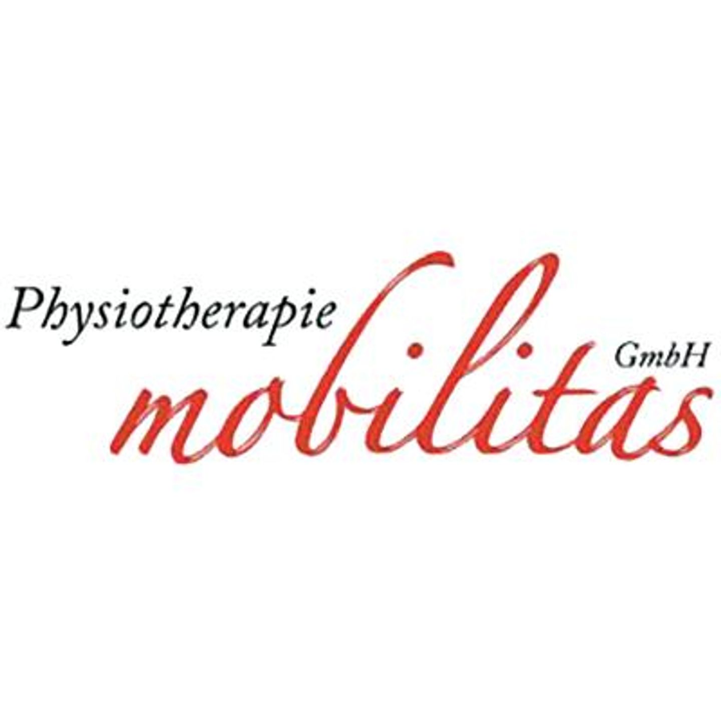 Logo der Firma Physiotherapie mobilitas GmbH aus Bautzen